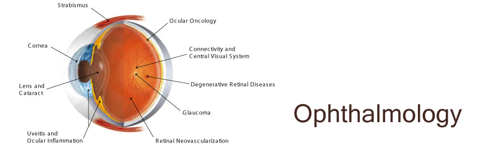 ophthalmology